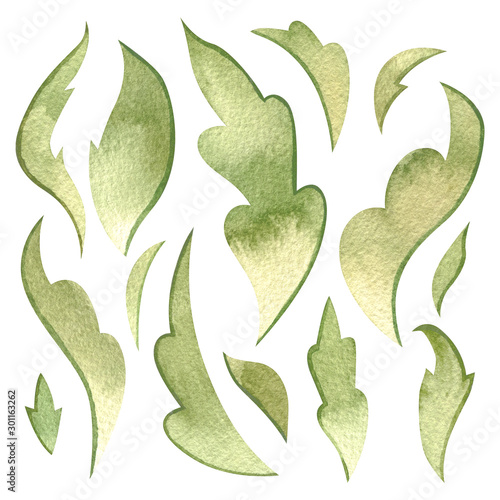 Set of green watercolor leaves. Hand painted design elements. Suitable for decorating cards, packaging and more. Isolated on white.