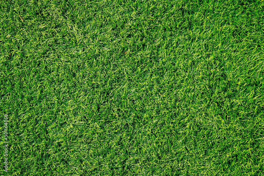 Naklejka Teksturę zielonej trawy można użyć jako tła