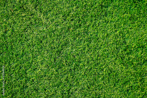Green grass texture can be use as background © tendo23