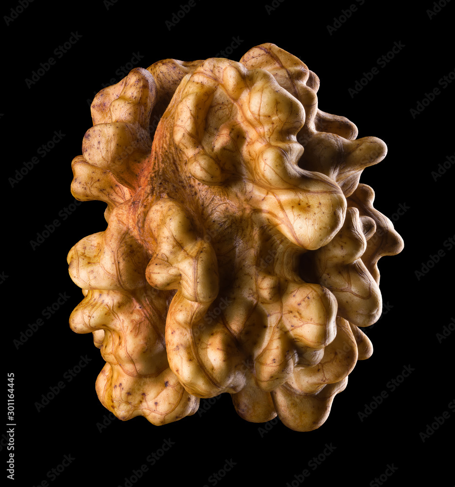 Macro photo of kernel walnut isolated on a black background with clipping path Macro photo of kernel walnut isolated on a black background with clipping path