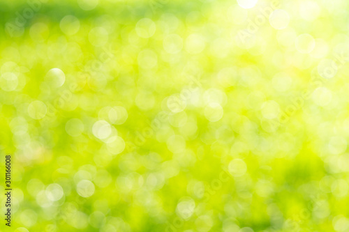 green bokeh background , Beautiful abstract green blur on natural background. Light and plant with soft bokeh.