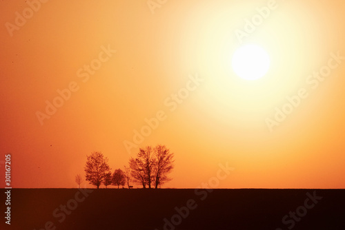 Beautiful landscape with field illuminated by sunlight. In Moravia © standret