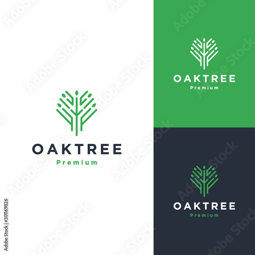 tree and root logo icon vector illustration