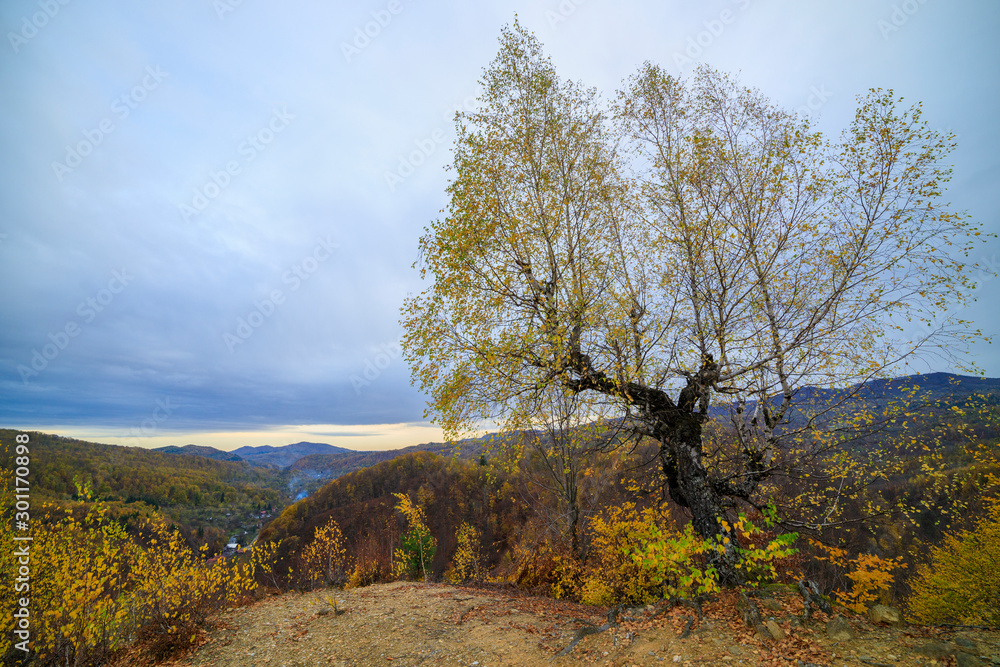 Fototapeta premium Beautiful Autumn Landscape on a November Day.