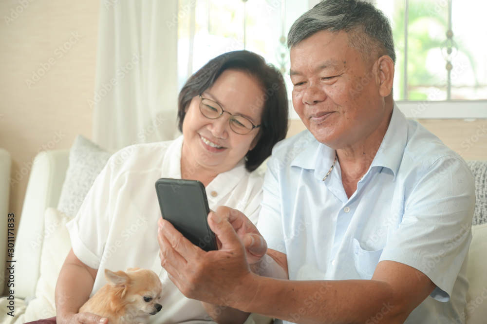 Old women and men are using their smartphone on the sofa. Old women and men are using their smartphone on the sofa.