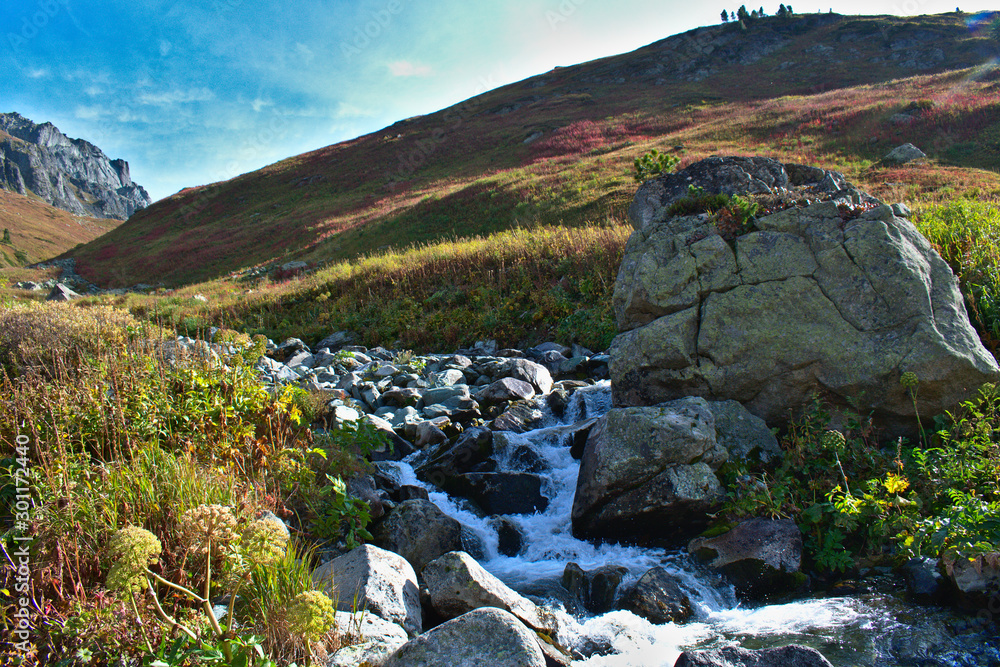 Obraz premium river in the mountains