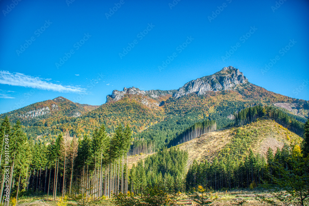 Mountains and hills with trees colored in autumn colors, Slovakia Mala Fatra