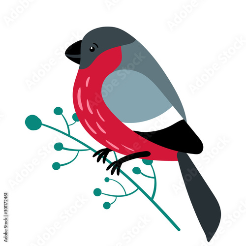 Cute bullfinch sitting on a branch isolated on a white background.