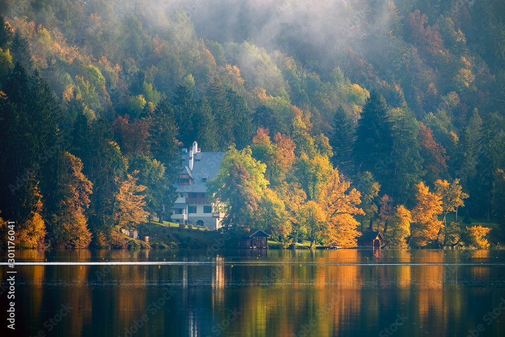 Fototapeta premium Early foggy morning on the Bled lake