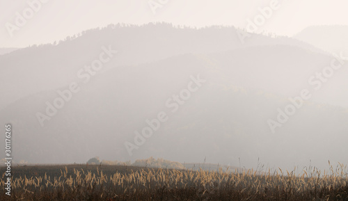 Autumn mountain landscape, morning haze, minimalism photo