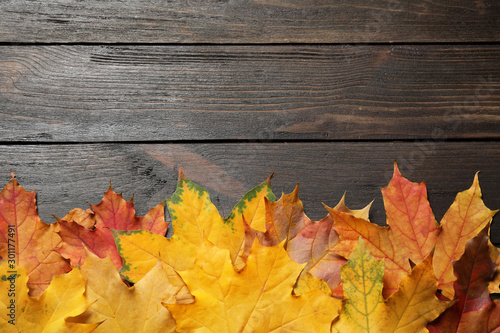 Beautiful autumn leaves and space for text on wooden background, top view