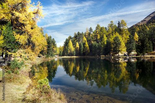 Silvaplana Via dal lej nair  and horses © panaramka