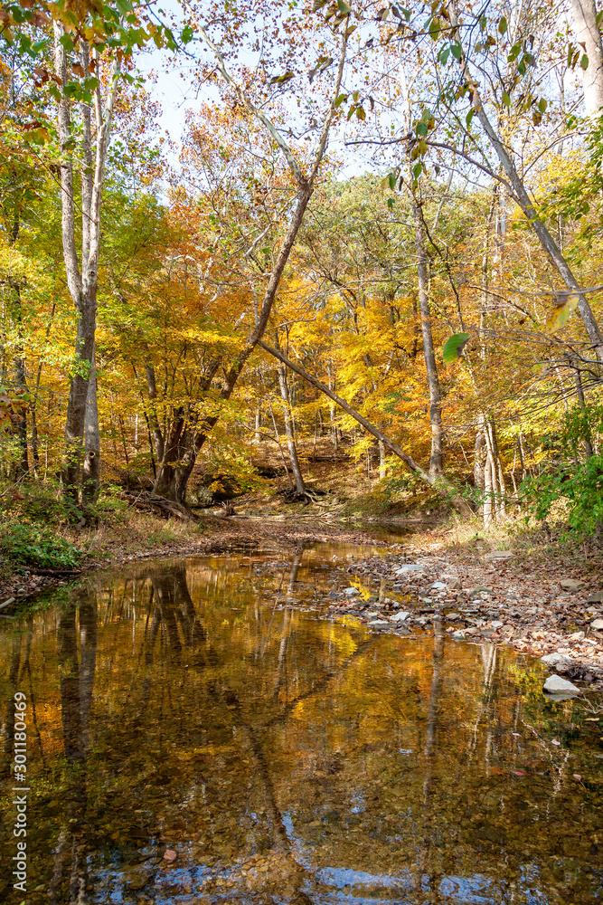 autumn landscape of a creek in cuivre river state park near Troy, MO