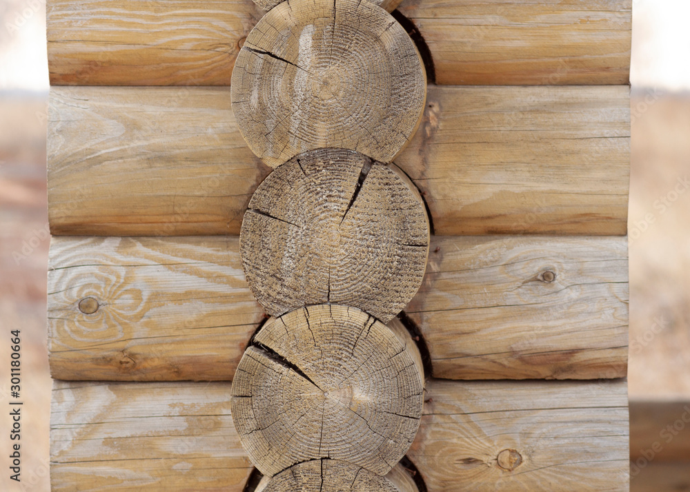 The cut surface of logs