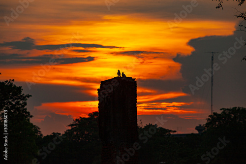 sunset in the city