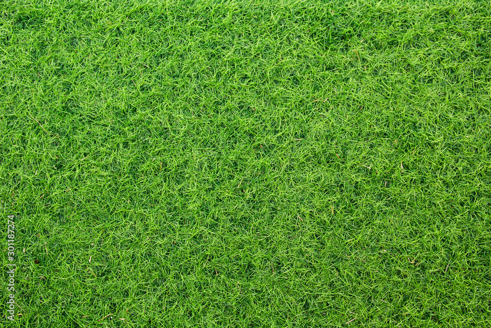 Fototapeta premium artificial grass texture for background 