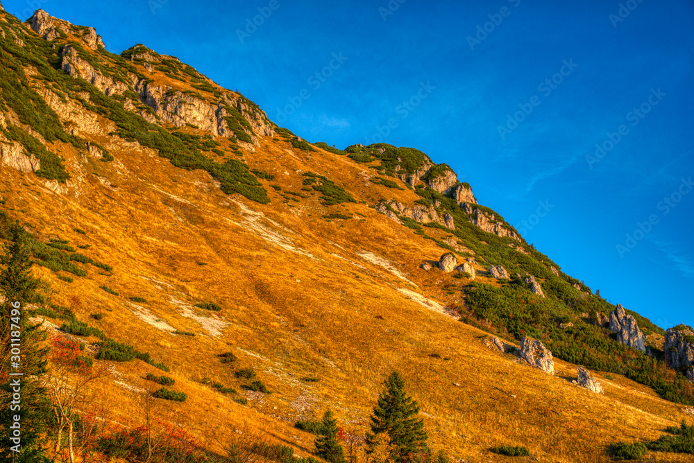 mountain beautifully illuminated at sunrise mountain beautifully illuminated at sunrise