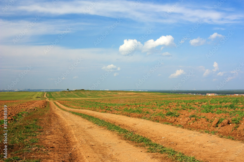 Empty country road in the field