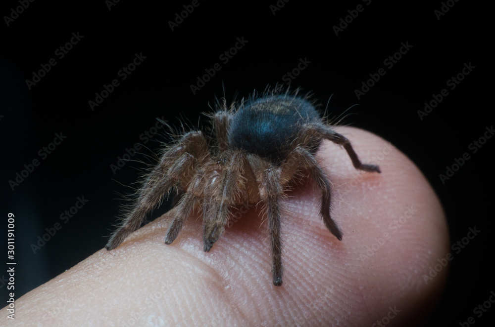 Obraz premium Golden knee