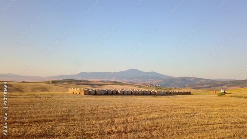 Rotoloni fieno Rotoloni fieno