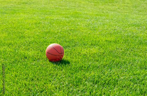 A ball on the green grass