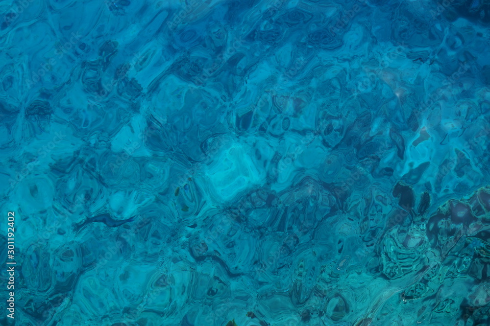 Coral reef in the red sea on sunny day Coral reef in the red sea on sunny day