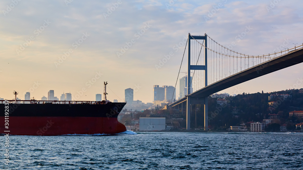 Turkey, Istanbul, Bosphorus Channel, Bosphorus Bridge, an cargo ship under the Bridge.