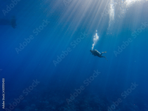 Scuba diver in Pacific ocean 