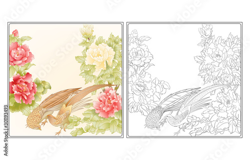 Peony tree branch with flowers with pheasants in the style of Chinese painting on silk Coloring page for theadult coloring book. with colored sample. Outline hand drawing vector illustration..