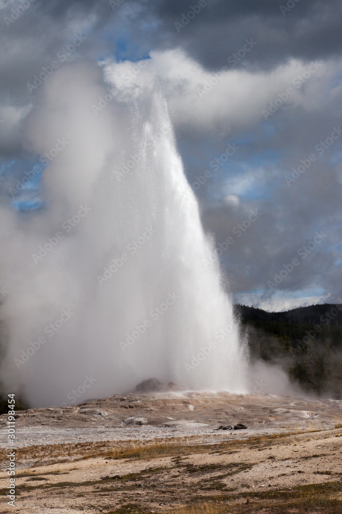 geyser spewing with steam and water
