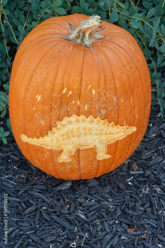 Dinosaur Pumpkin Carving Contest during Community Halloween Festival photo