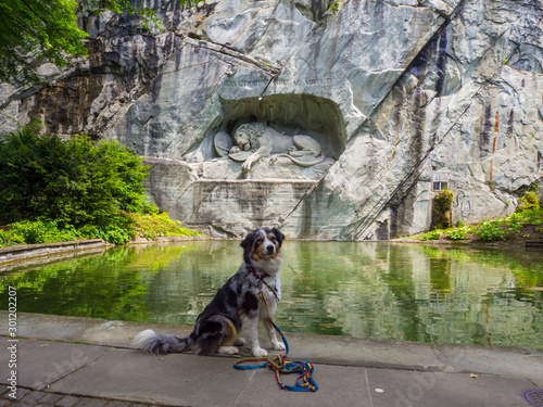 Hund vor Löwendenkmal in Luzern
