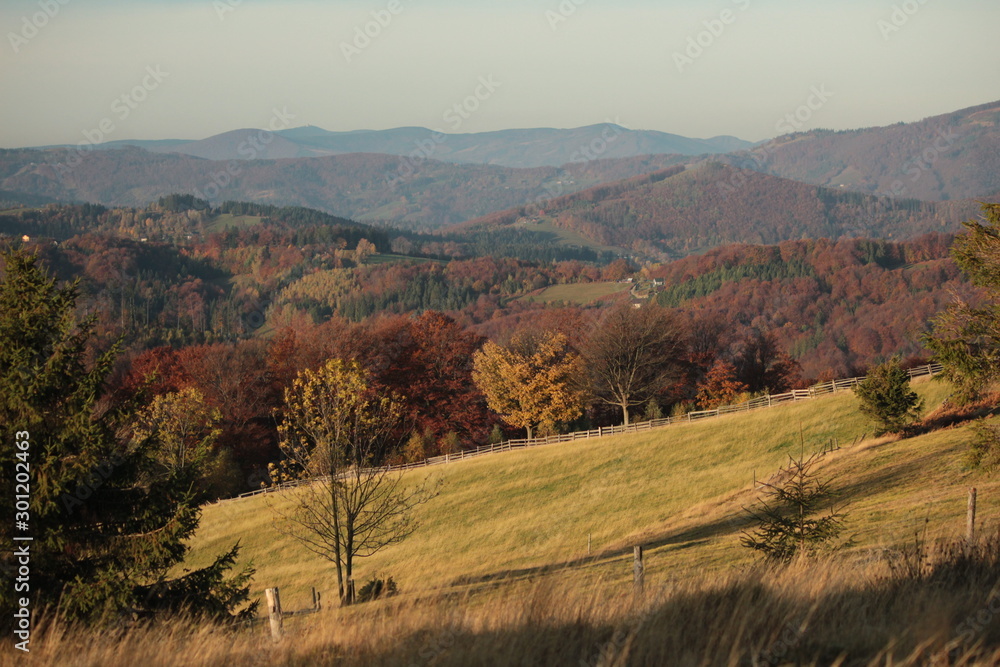 Fototapeta premium autumn nature