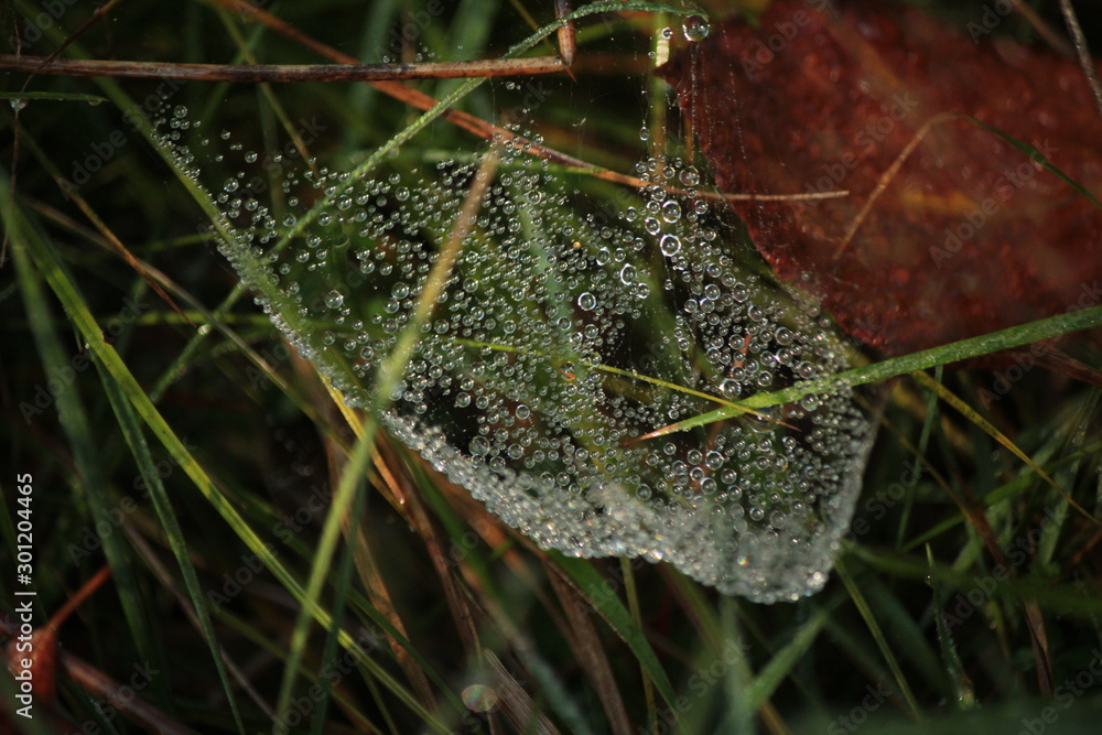 autumn nature autumn nature