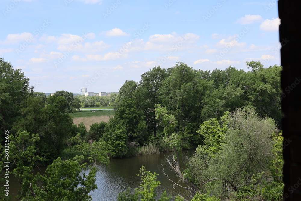 landscape with river and trees landscape with river and trees