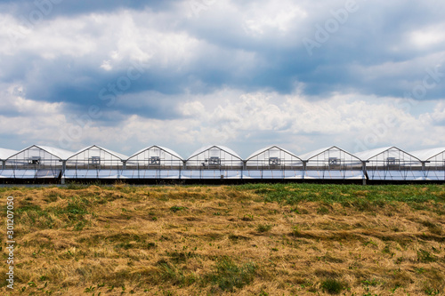 Abstract image of greenhouses near Niagara on the Lake  Ontario  Canada.