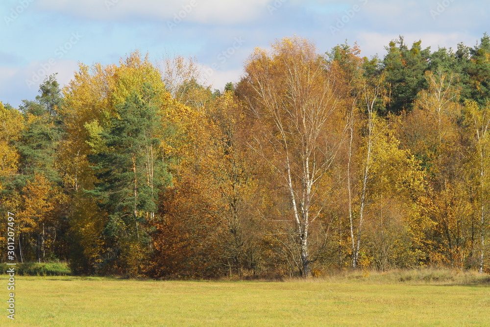 herbst