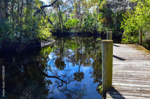 A beautiful place to hike or kayak, the trails and Pithlachascotee River provide an escape from urban life and a chance to get back to the nature of Old Florida. photo
