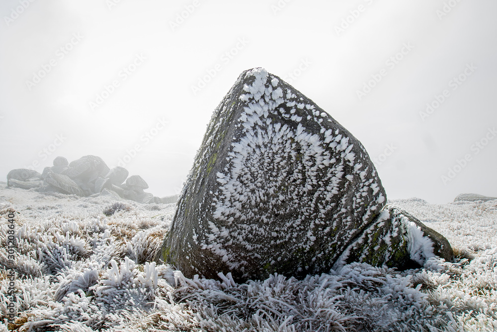 Frostetd rock in a wonderful nature of Slovakia national park