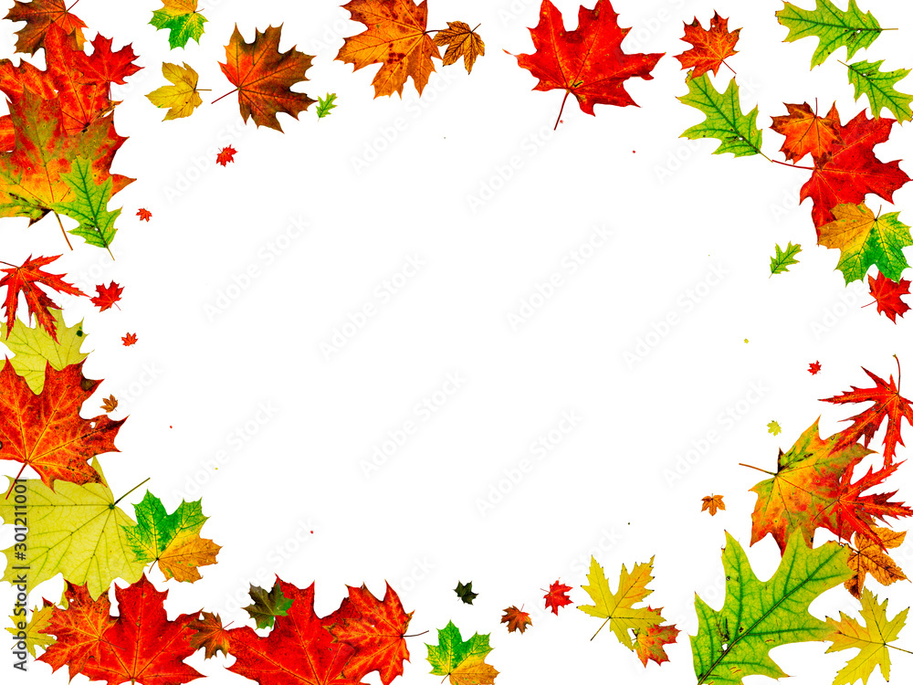 Autumn leaves falling. Season pattern isolated on white background. Thanksgiving concept Autumn leaves falling. Season pattern isolated on white background. Thanksgiving concept