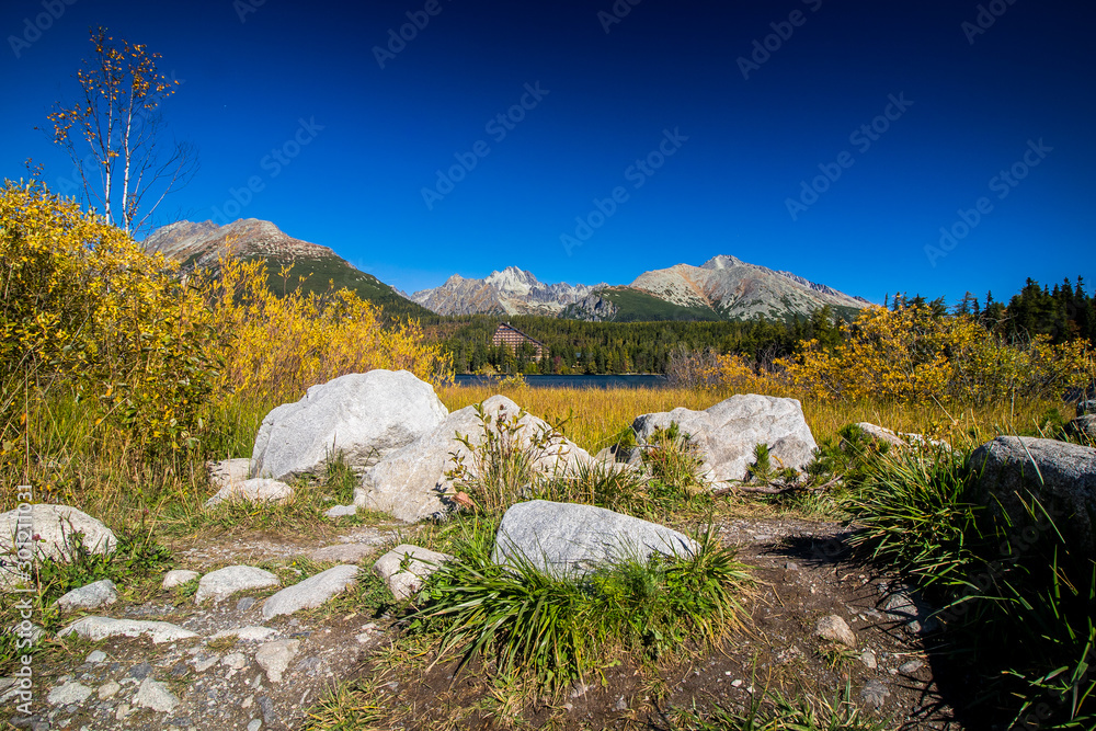 Strba tarn, lake in wonderful nature of Hihg Tatra Mountains in Slovakia