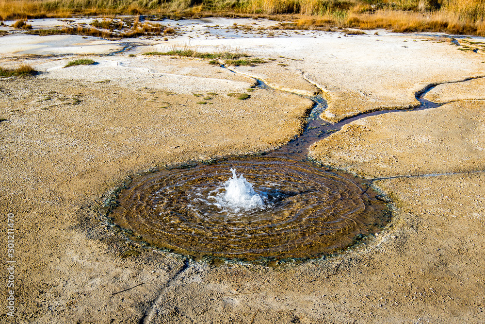 Little water geyser rises from the ground