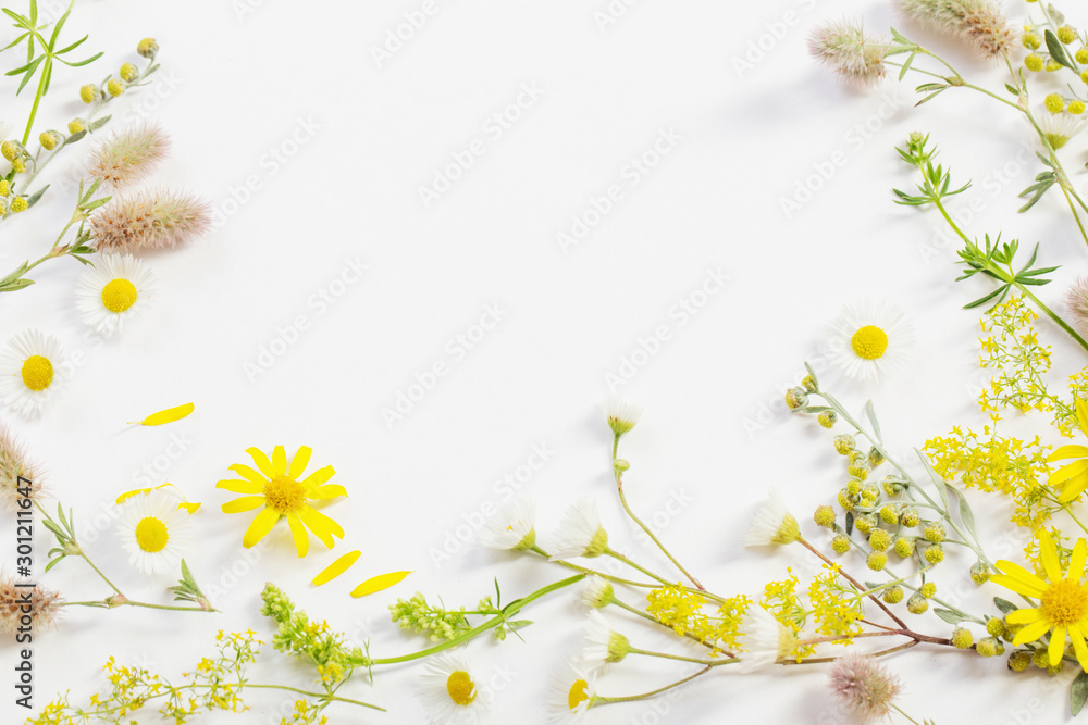 Obraz premium wildflowers on white paper background