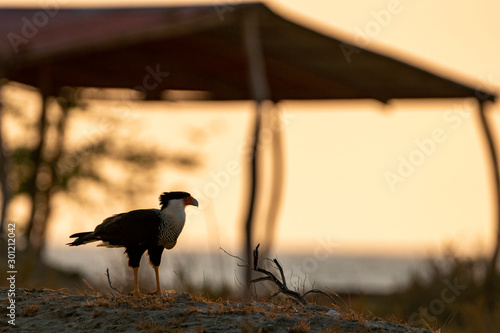 Desierto de la Guajira photo