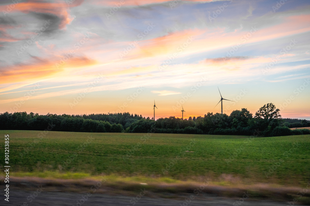 Obraz premium sunset over field