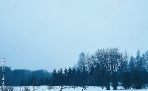 Beautiful winter landscape with trees in snow