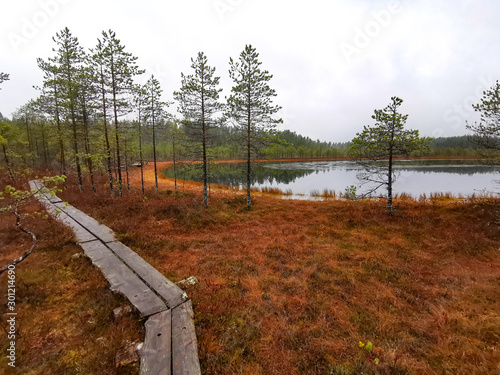 finland national park © DragoNika