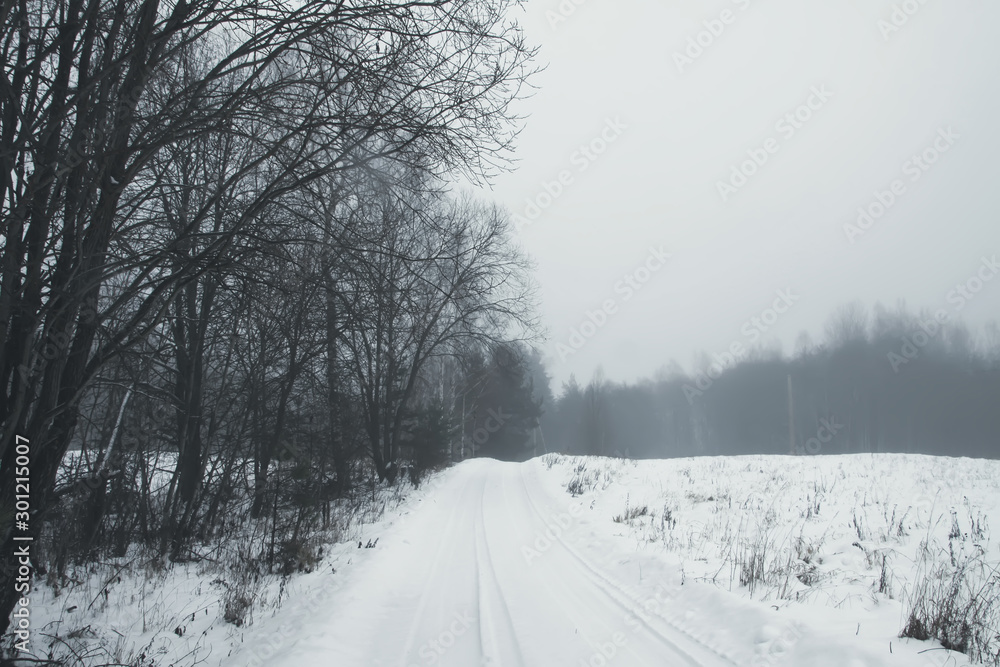 Obraz premium Beautiful winter landscape with trees in snow