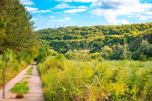 Through the green canyon