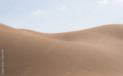 Beautiful desert landscape. Sand dunes in the desert and bright blue sky